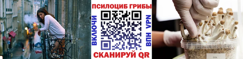Псилоцибиновые грибы мицелий  цена наркотик  Первомайск 